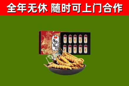 乐山回收冬虫夏草价格